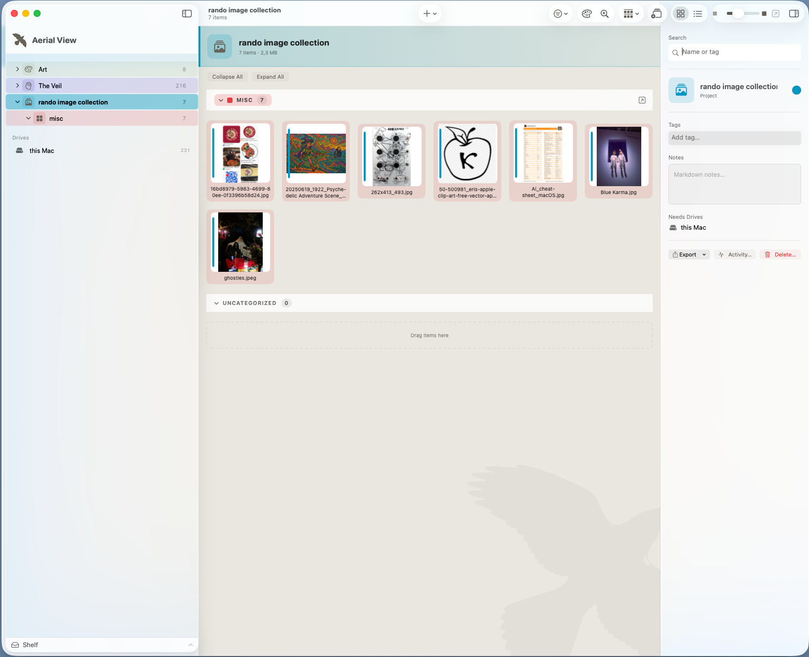 Aerial View native macOS file-curation app in daily use